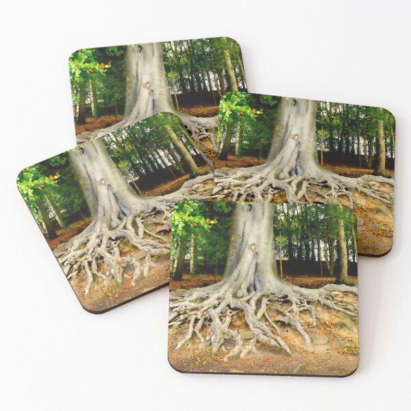 Item preview, Newmillerdam Tree Roots designed and sold by Alisonchambers2.