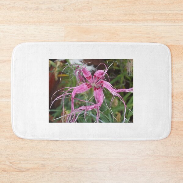 Item preview, PINK '' GHOST '' DIANTHUS designed and sold by artist4peace.