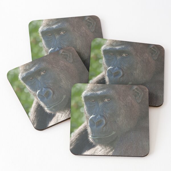 Item preview, Shufai from Twycross Zoo designed and sold by rawshutterbug.