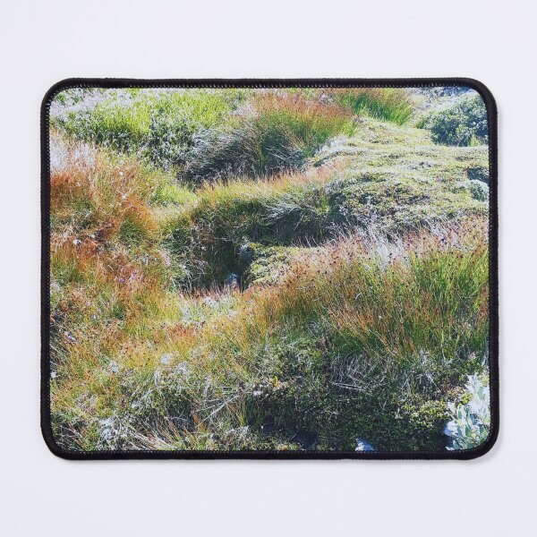 Item preview, Scree landscape designed and sold by designful93.