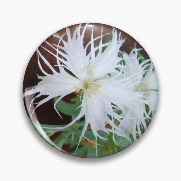Item preview, WHITE '' GHOST' '' DIANTHUS designed and sold by artist4peace.