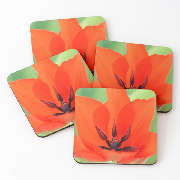 Item preview, Tulipa praestans  'Van Tubergen's Variety'  Miscellaneous tulip designed and sold by Chris Burrows.