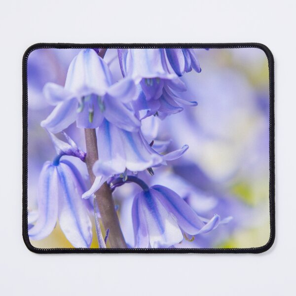 Item preview, Bluebells designed and sold by Dave Hare Photography.
