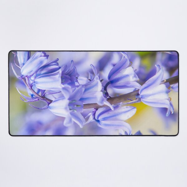 Item preview, Bluebells designed and sold by Dave Hare Photography.