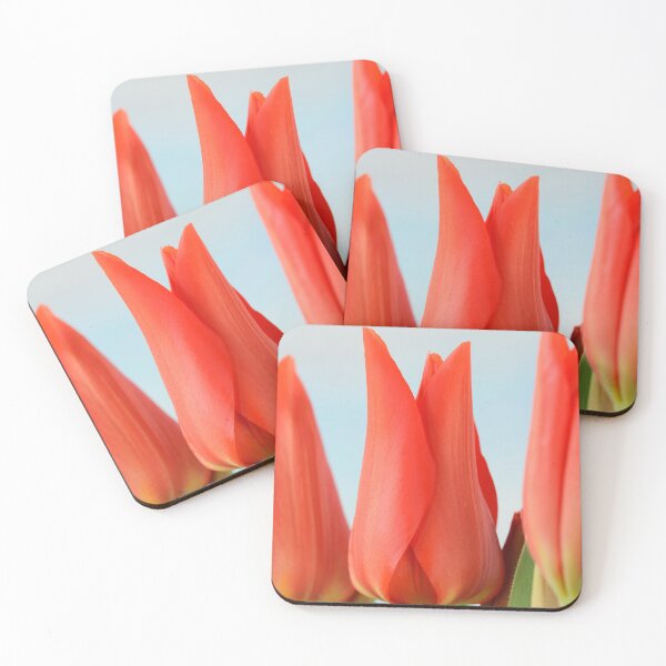 Item preview, Tulipa praestans  'Van Tubergen's Variety'  Miscellaneous tulip designed and sold by Chris Burrows.