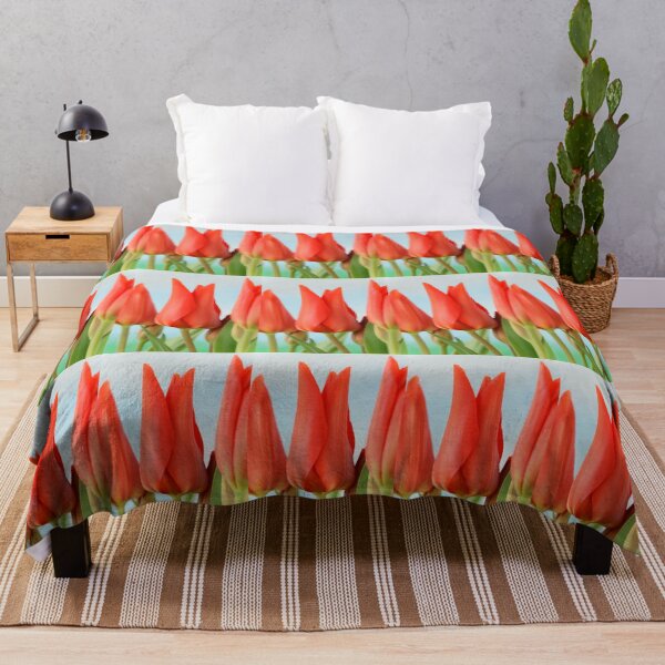 Item preview, Tulipa praestans 'Van Tubergen's Variety' Miscellaneous tulip designed and sold by Chris Burrows.