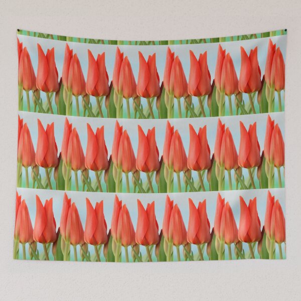 Item preview, Tulipa praestans  'Van Tubergen's Variety'  Miscellaneous tulip designed and sold by Chris Burrows.