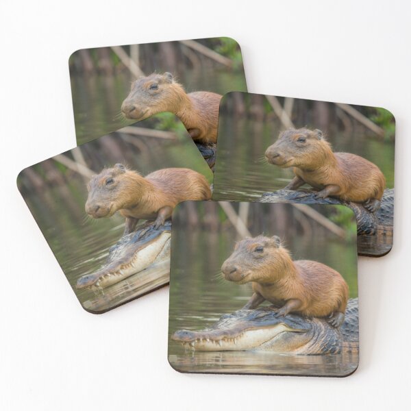 Item preview, Capybara on alligator designed and sold by PawelNature.