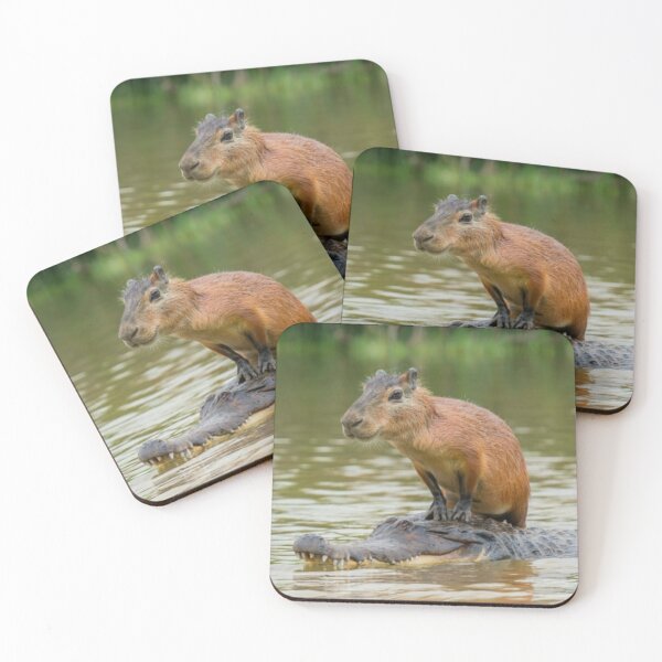 Item preview, Capybara on alligator designed and sold by PawelNature.