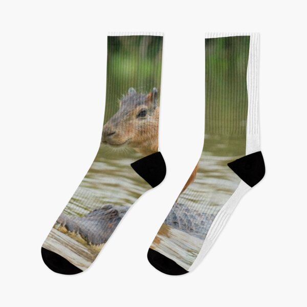 Item preview, Capybara on alligator designed and sold by PawelNature.