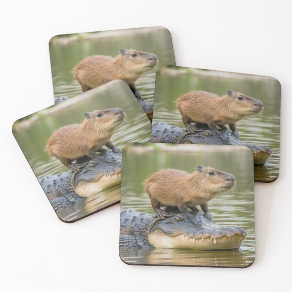 Item preview, Capybara on alligator designed and sold by PawelNature.