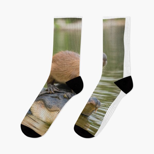 Item preview, Capybara on alligator designed and sold by PawelNature.