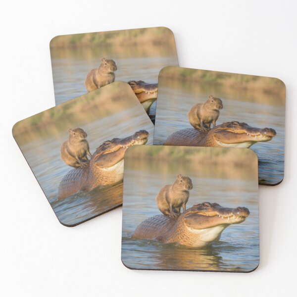 Item preview, Capybara on alligator designed and sold by PawelNature.