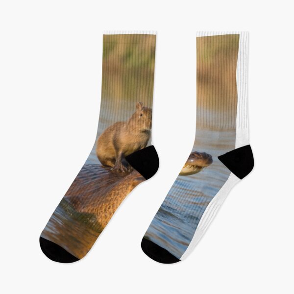 Item preview, Capybara on alligator designed and sold by PawelNature.