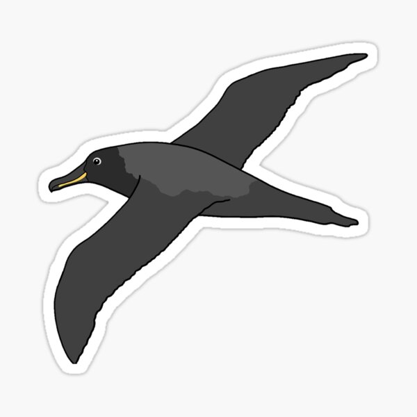 Item preview, Sooty Albatross designed and sold by taylorrowan.