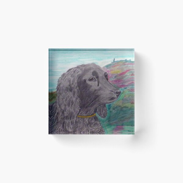 Item preview, 784 - JOE - DAVE EDWARDS - COLOURED PENCILS - 2023 designed and sold by BLYTHART.