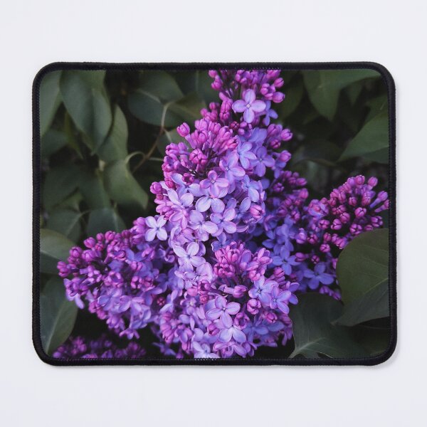 Item preview, Lilac photo nature purple designed and sold by Jamaica212.