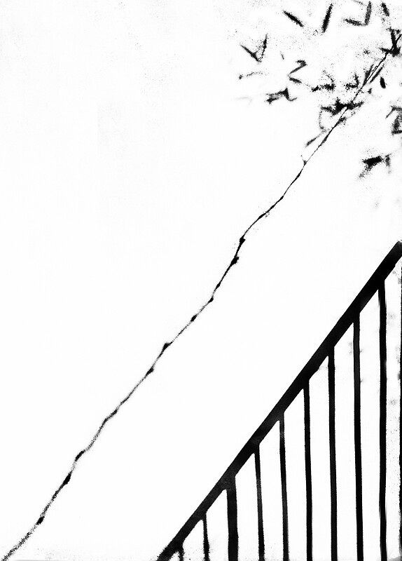 "No straight lines in nature. " by Paul Pasco Redbubble