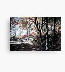 Bucks Pocket OverlookTrail Canvas Print
