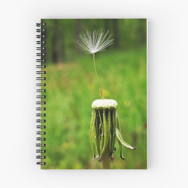 Item preview, Balancing Act designed and sold by ChatStroh.