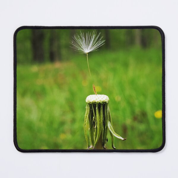 Item preview, Balancing Act designed and sold by ChatStroh.