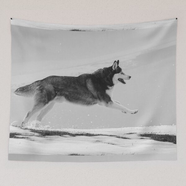Item preview, Siberian Husky Chasing and Jumping in the freezing rain and snow designed and sold by myhuskymax.