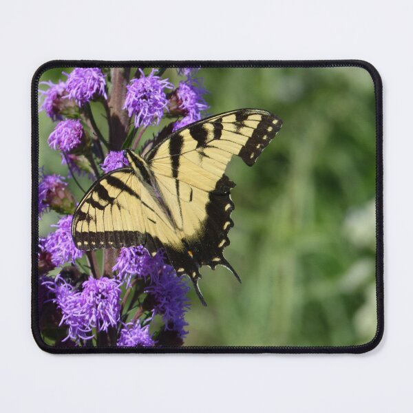 Item preview, Hanging in there. designed and sold by GardenOfPeace.