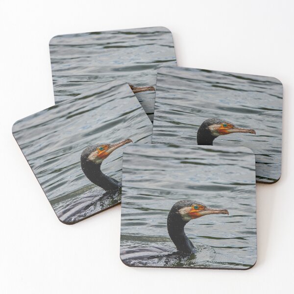 Item preview, Great Cormorant designed and sold by Eidetic Photos.