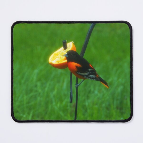 Item preview, Snacktime. designed and sold by GardenOfPeace.