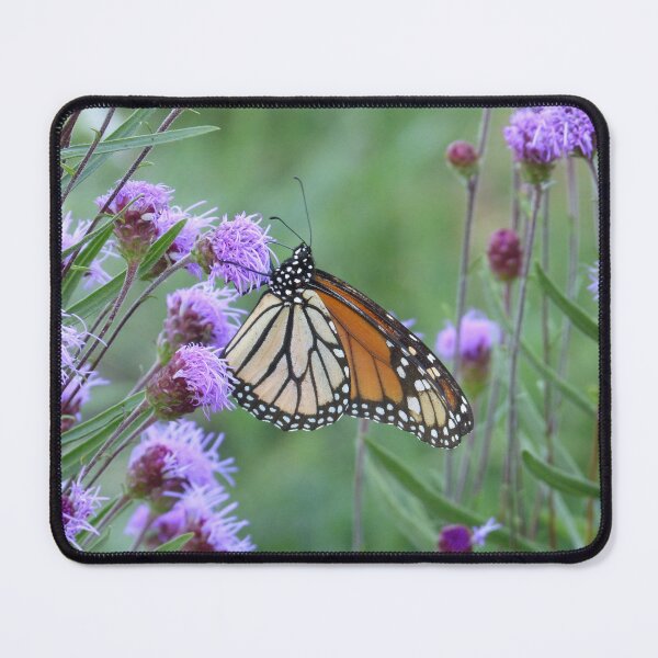 Item preview, Monarch on Meadow Blazing Star designed and sold by GardenOfPeace.