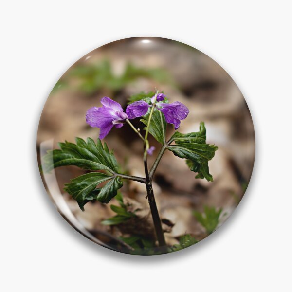 Item preview, Enchanted Flower Hidden in the Woods designed and sold by Darius Vasilache.