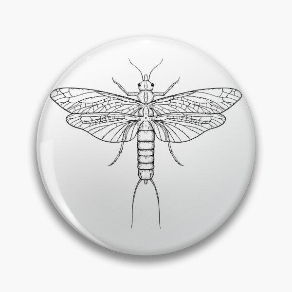 Item preview, Plecoptera designed and sold by GraphicalUI.