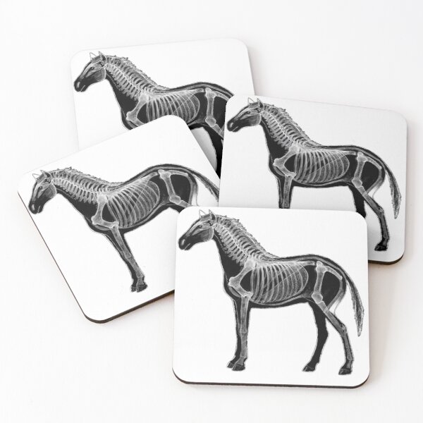 Item preview, Equine vet. designed and sold by Jakubos.