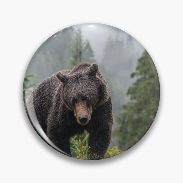 Item preview, Bear in the wilderness grizzly bear bear spray brown bear designed and sold by Streetsigns1957.