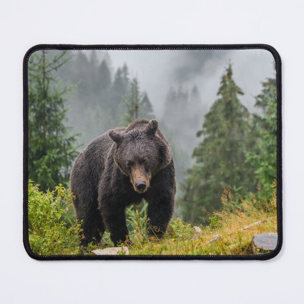 Item preview, Bear in the wilderness grizzly bear bear spray brown bear designed and sold by Streetsigns1957.