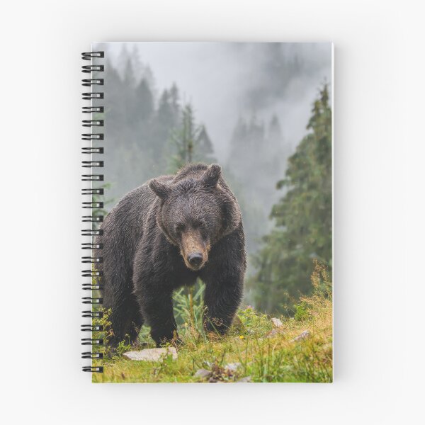 Item preview, Bear in the wilderness grizzly bear bear spray brown bear designed and sold by Streetsigns1957.