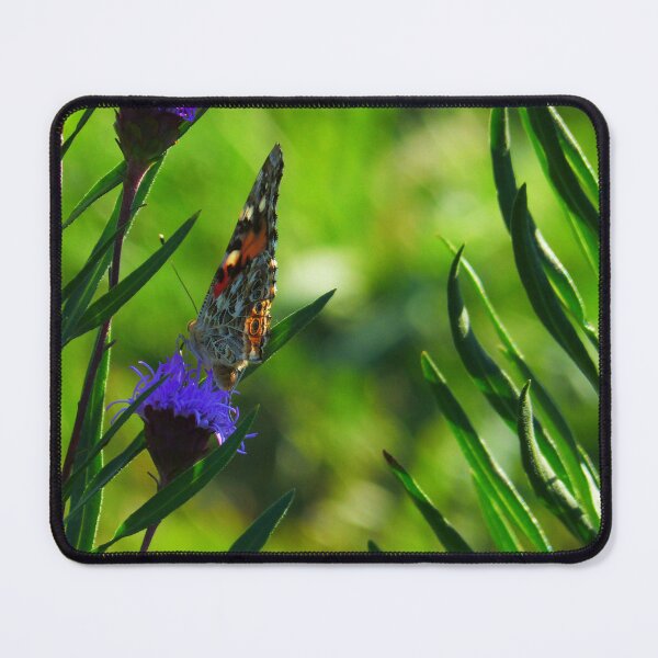 Item preview, Painted Lady designed and sold by GardenOfPeace.