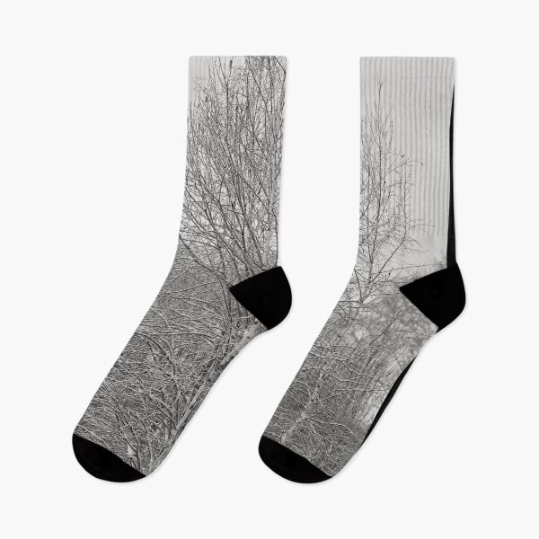 Item preview, In the middle of the field. First snow views bw designed and sold by Jouko Lehto Photography.
