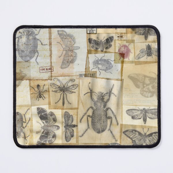Item preview, The Entomologist - vintage designed and sold by Peculiaris.