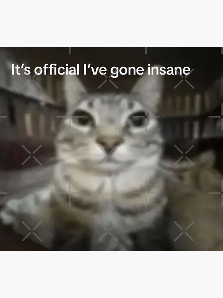 Funny Cat Crazy and Sad Meme Greeting Card for Sale by Ariilea