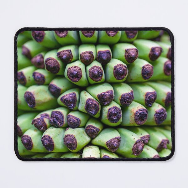 Item preview, Green fruits of the banana species Musa acuminata designed and sold by Zosimus.