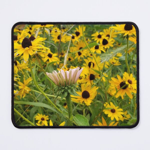 Item preview, Mini prairie in bloom. designed and sold by GardenOfPeace.