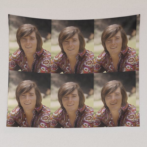 Item preview,  bobby sherman handsome designed and sold by warshipologiste.