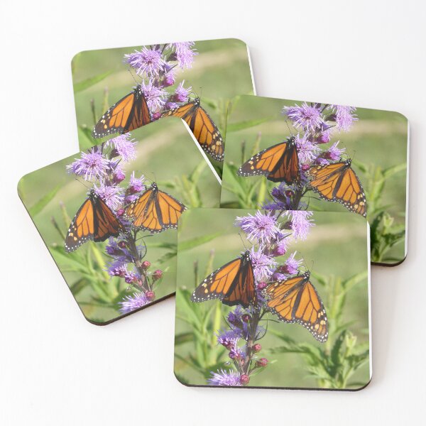 Item preview, Monarch butterflies enjoy Prairie Blazing Star  designed and sold by GardenOfPeace.