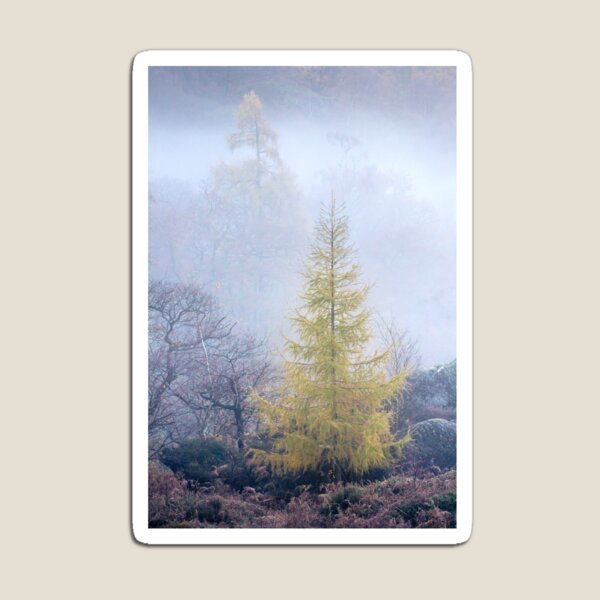 Item preview, The Larch Ascending designed and sold by AnitaNicholson.