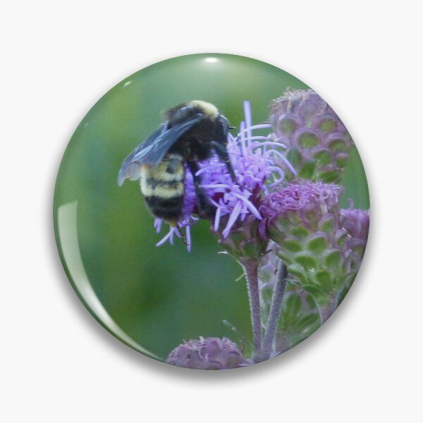 Item preview, American Bumblebee  designed and sold by GardenOfPeace.