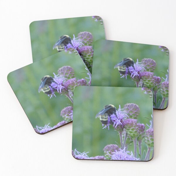 Item preview, American Bumblebee  designed and sold by GardenOfPeace.