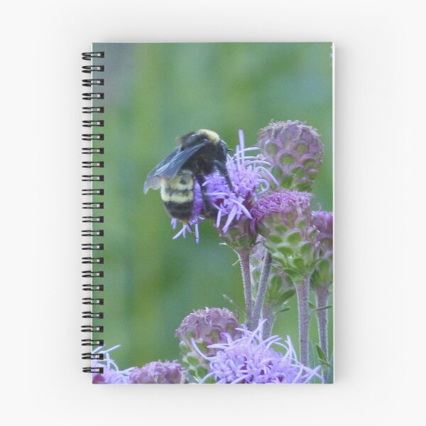Item preview, American Bumblebee  designed and sold by GardenOfPeace.