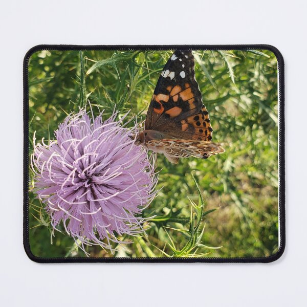 Item preview, Painted Lady on Pasture Thistle  designed and sold by GardenOfPeace.