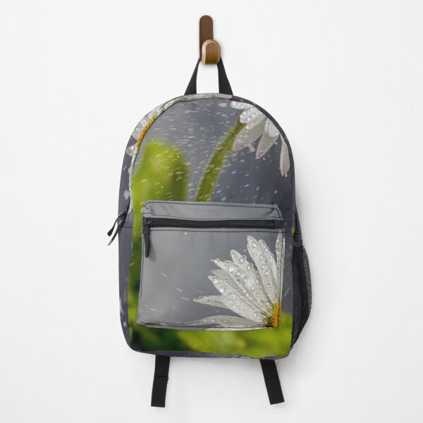 Item preview, Daisy in the Snow designed and sold by Tom McPherson Photography.